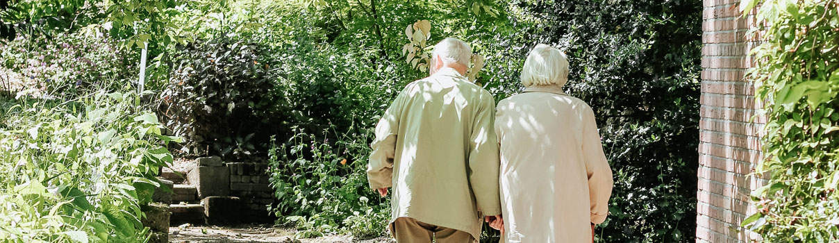 Post-header-image-Elderly Elderly couple walking away from camera on a path surrounded by trees on either side